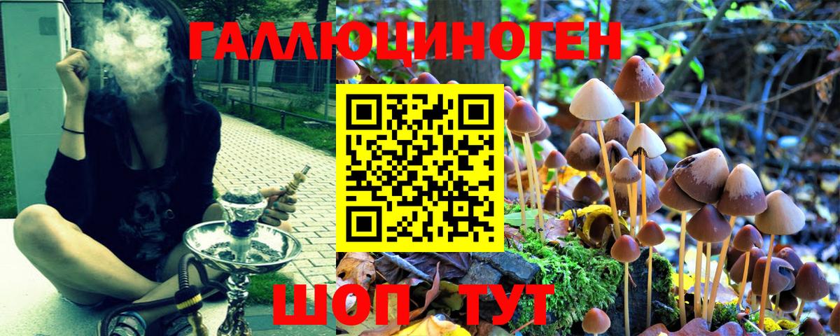 Галлюциногенные грибы мухоморы Губаха